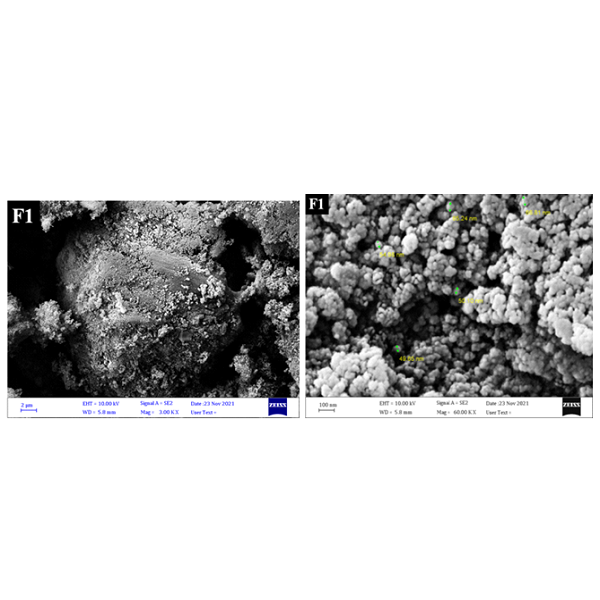 Investigation of Methylene Blue Dye Removal by Activated Carbon Made from Buffalo Dung: Adsorption and kinetic Studies