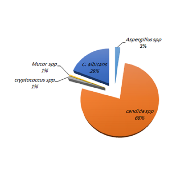 Fungal Survey of Different Clinical Samples Collected from Patients