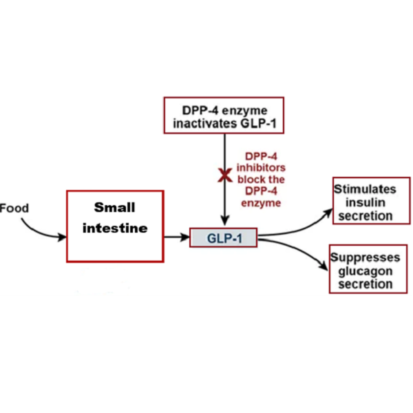  Quantification Assay of Diabetic Drug Sitagliptin in Pharmaceutical Preparations: A Review